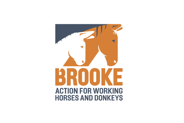 The Brooke logo web